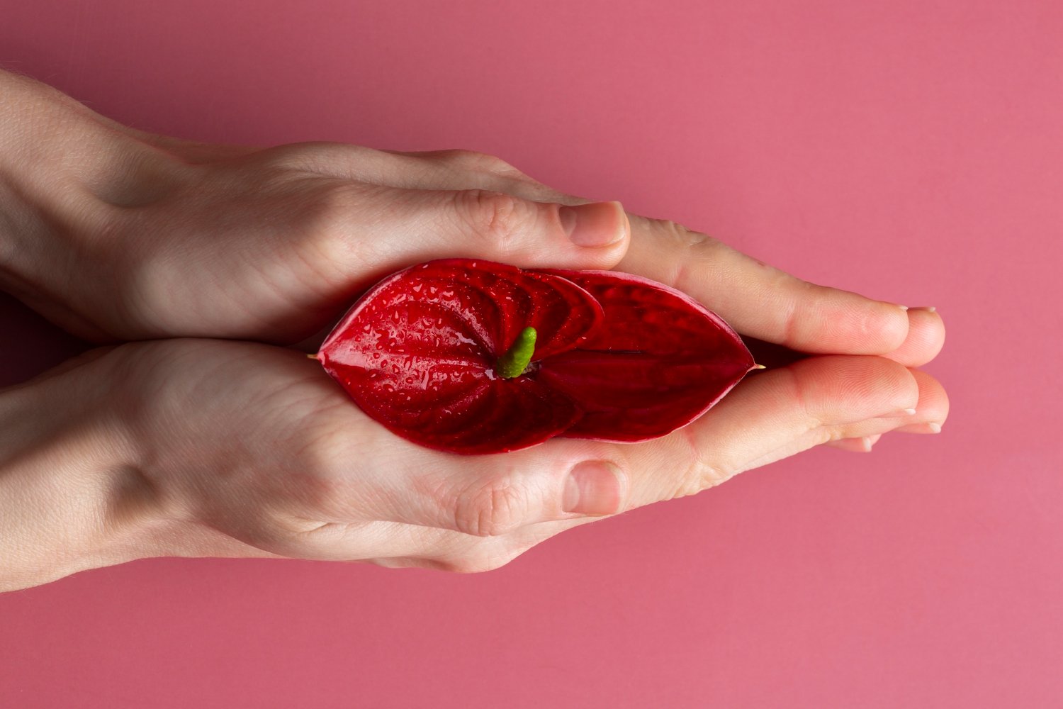 indications for labiaplasty